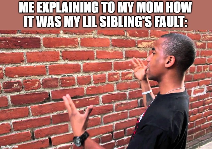 Who can relate to this? | ME EXPLAINING TO MY MOM HOW IT WAS MY LIL SIBLING'S FAULT: | image tagged in man taking to a wall | made w/ Imgflip meme maker