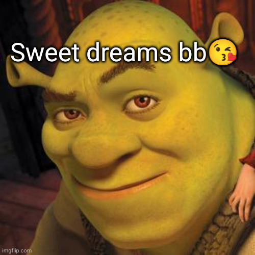 Shrek Sexy Face | Sweet dreams bb? | image tagged in shrek sexy face | made w/ Imgflip meme maker