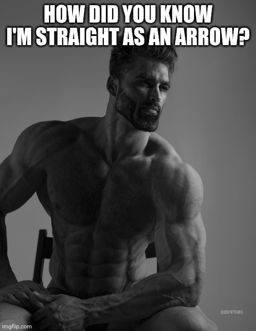 Giga Chad | HOW DID YOU KNOW I'M STRAIGHT AS AN ARROW? | image tagged in giga chad | made w/ Imgflip meme maker