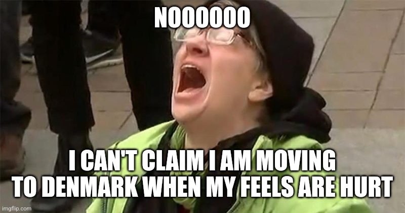 crying liberal | NOOOOOO I CAN'T CLAIM I AM MOVING TO DENMARK WHEN MY FEELS ARE HURT | image tagged in crying liberal | made w/ Imgflip meme maker