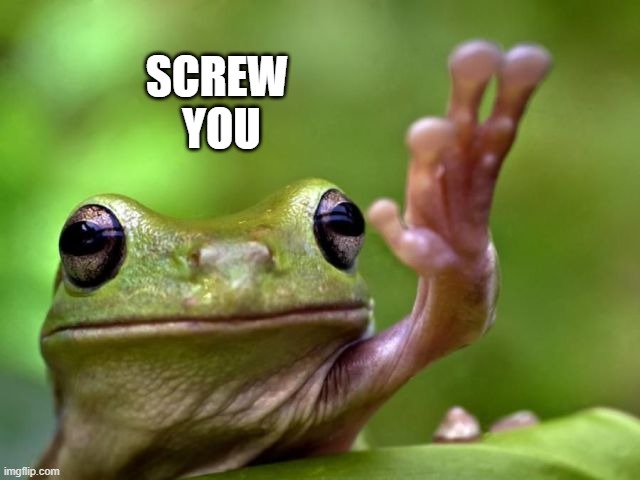 screw you | SCREW 
YOU | image tagged in screw you | made w/ Imgflip meme maker