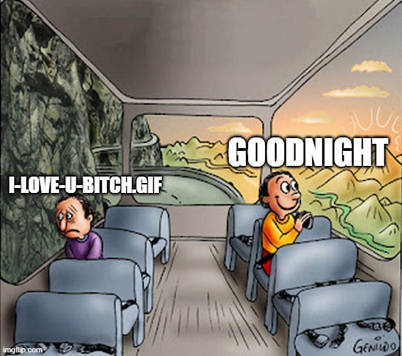 i love you bitch.gif :sob: | GOODNIGHT; I-LOVE-U-BITCH.GIF | image tagged in two guys on a bus | made w/ Imgflip meme maker