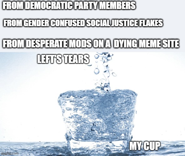 the bounty is much, every ounce of your pain sustains me | FROM DEMOCRATIC PARTY MEMBERS; FROM GENDER CONFUSED SOCIAL JUSTICE FLAKES; FROM DESPERATE MODS ON A  DYING MEME SITE | image tagged in stupid liberals,funny memes,pathetic,stupid people,i am the god of destruction | made w/ Imgflip meme maker