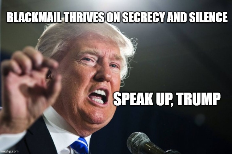 Donald Trump Blackmailed By Elon Musk | BLACKMAIL THRIVES ON SECRECY AND SILENCE; SPEAK UP, TRUMP | image tagged in donald trump,elon musk,white house,presidency,republicans | made w/ Imgflip meme maker