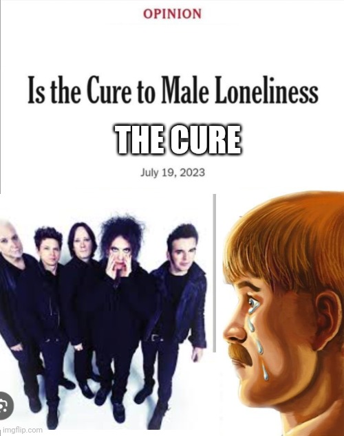 Is the cure to male loneliness image template | THE CURE | image tagged in is the cure to male loneliness image template | made w/ Imgflip meme maker