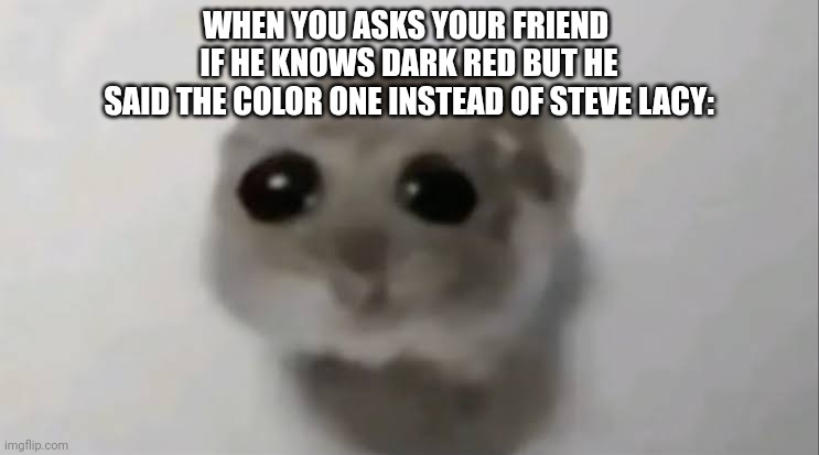 They be fr having a dementia when i ask them about it | WHEN YOU ASKS YOUR FRIEND 
IF HE KNOWS DARK RED BUT HE
SAID THE COLOR ONE INSTEAD OF STEVE LACY: | image tagged in sad hamster | made w/ Imgflip meme maker