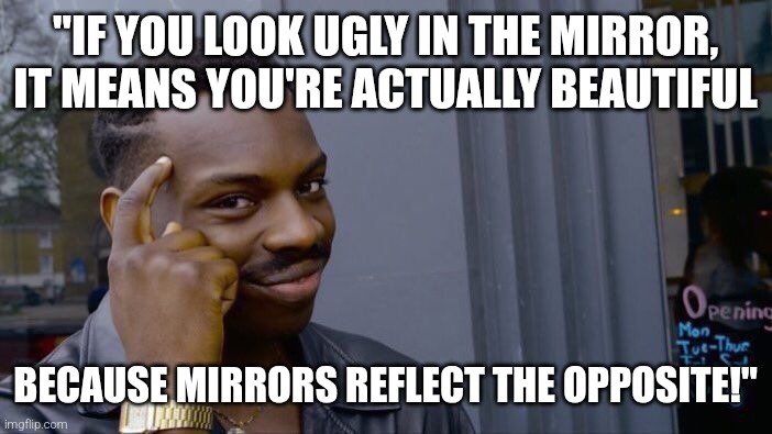 Really | "IF YOU LOOK UGLY IN THE MIRROR, IT MEANS YOU'RE ACTUALLY BEAUTIFUL; BECAUSE MIRRORS REFLECT THE OPPOSITE!" | image tagged in memes,roll safe think about it,funny,fun | made w/ Imgflip meme maker