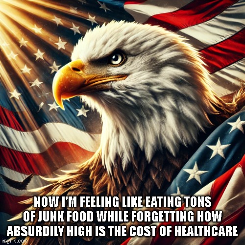 The most american thing to do right now | NOW I'M FEELING LIKE EATING TONS OF JUNK FOOD WHILE FORGETTING HOW ABSURDILY HIGH IS THE COST OF HEALTHCARE | image tagged in freedom intensifies | made w/ Imgflip meme maker