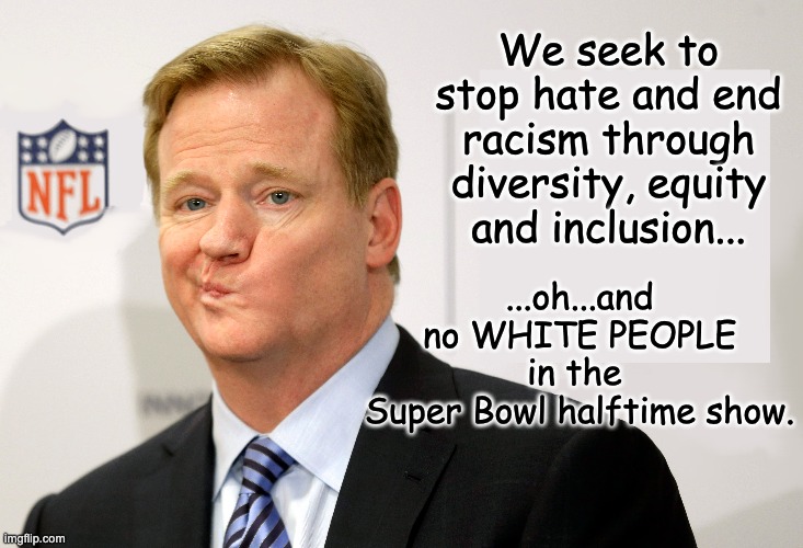 Pay no attention to the man behind the curtain | We seek to stop hate and end racism through diversity, equity and inclusion... ...oh...and no WHITE PEOPLE in the 
Super Bowl halftime show. | image tagged in goodell,nfl,the shield | made w/ Imgflip meme maker