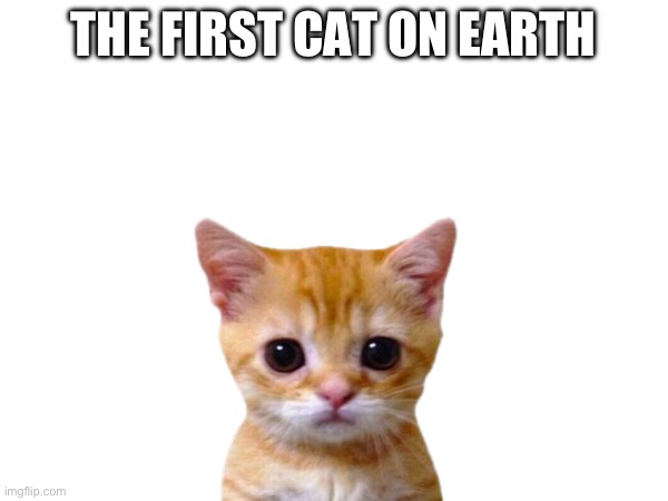 THE FIRST CAT ON EARTH | made w/ Imgflip meme maker