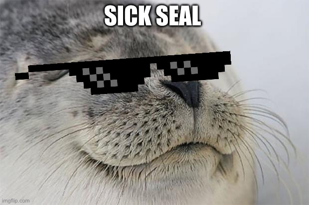 Sick seal | SICK SEAL | image tagged in memes,satisfied seal,sick seal | made w/ Imgflip meme maker