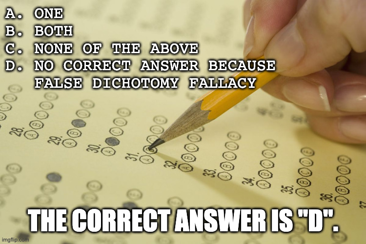 MCQ exam test multiple choice | A. ONE
B. BOTH
C. NONE OF THE ABOVE
D. NO CORRECT ANSWER BECAUSE 
   FALSE DICHOTOMY FALLACY THE CORRECT ANSWER IS "D". | image tagged in mcq exam test multiple choice | made w/ Imgflip meme maker