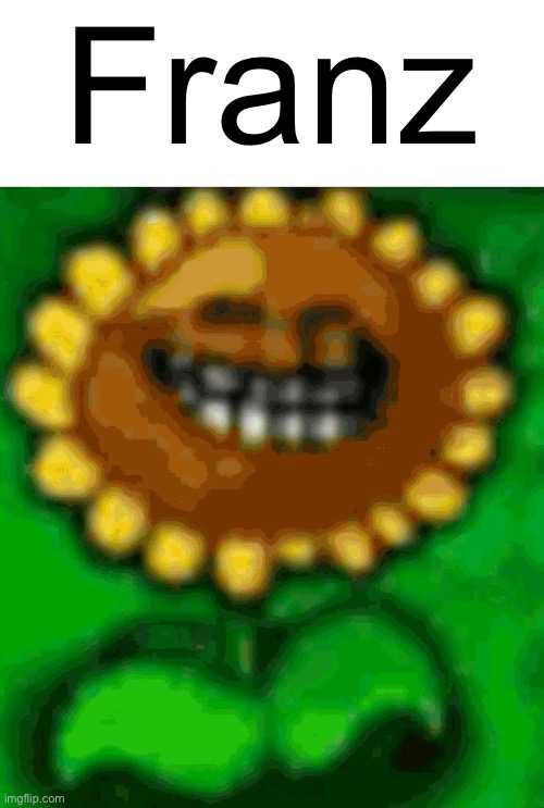 Franz | Franz | image tagged in pvz,franz | made w/ Imgflip meme maker