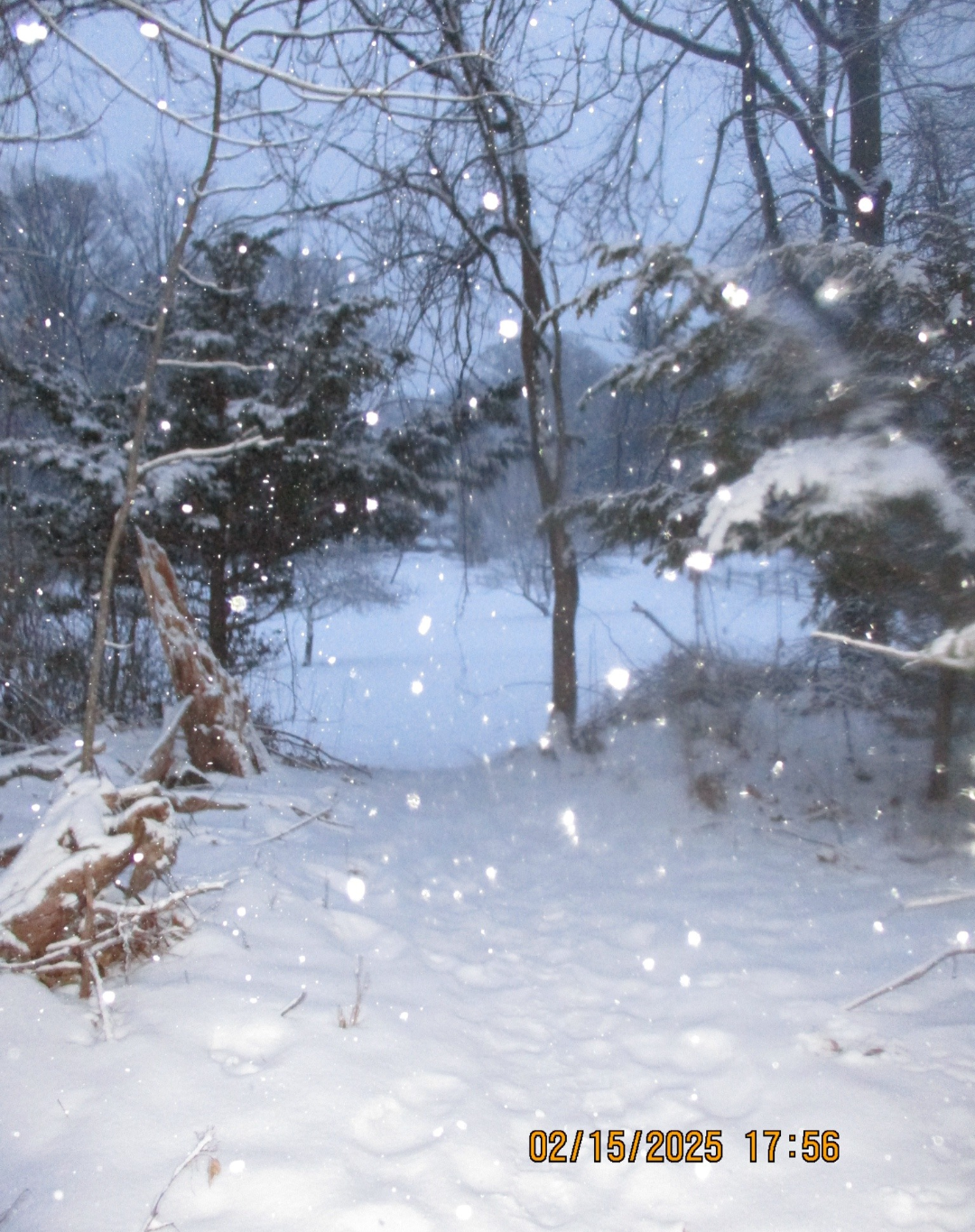 Snow. 15.2.2025. Blank Meme Template