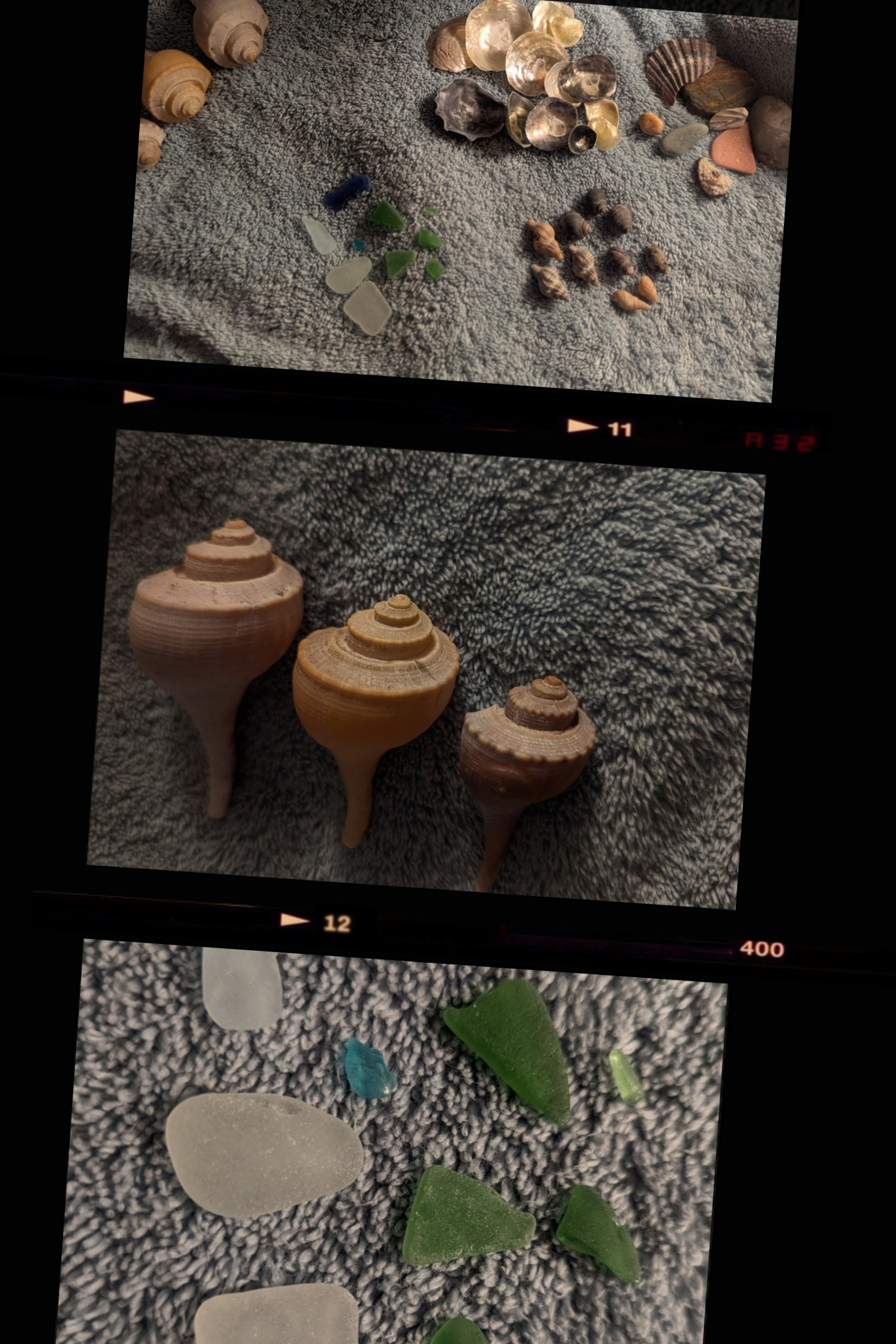 Beach Trinkets. Blank Meme Template