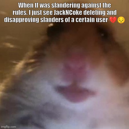 If you don't the slander just block | When tf was slandering against the rules. I just see JackNCoke deleting and disapproving slanders of a certain user 💔😔 | image tagged in hampter | made w/ Imgflip meme maker