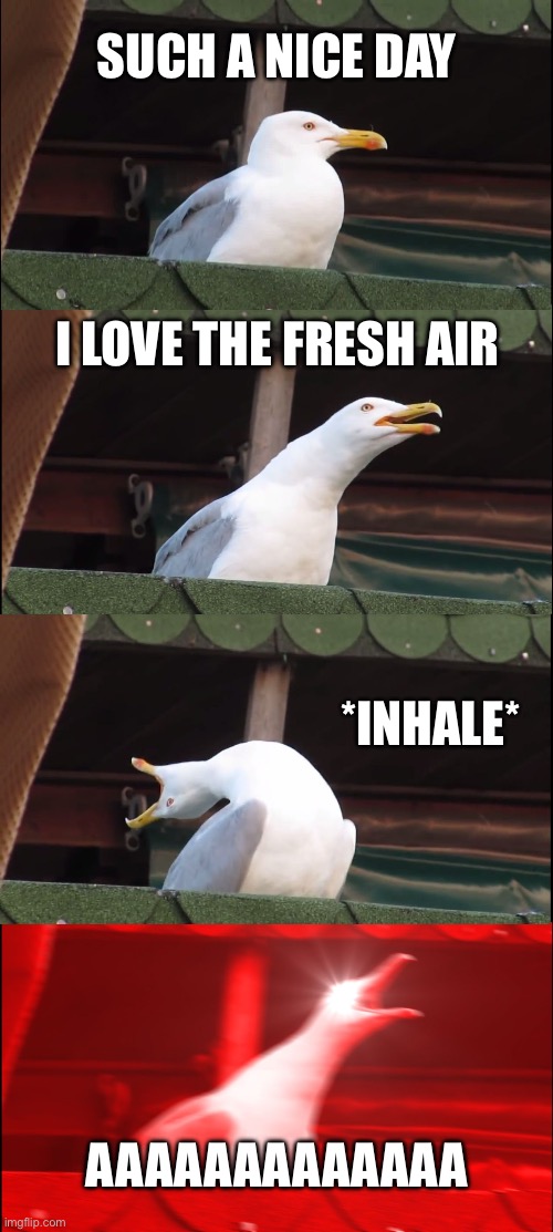 Inhaling Seagull Meme | SUCH A NICE DAY; I LOVE THE FRESH AIR; *INHALE*; AAAAAAAAAAAAA | image tagged in memes,inhaling seagull | made w/ Imgflip meme maker