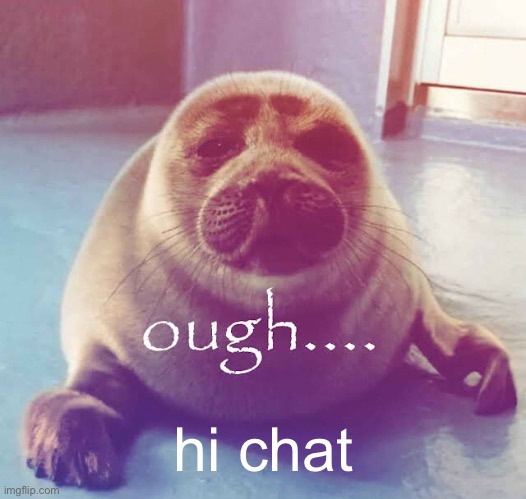 ough…. | hi chat | image tagged in ough | made w/ Imgflip meme maker