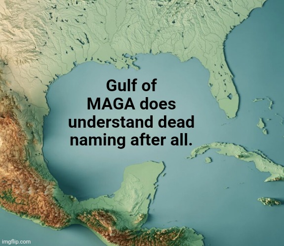 Gulf of What? | Gulf of MAGA does understand dead naming after all. | image tagged in gulf of what | made w/ Imgflip meme maker