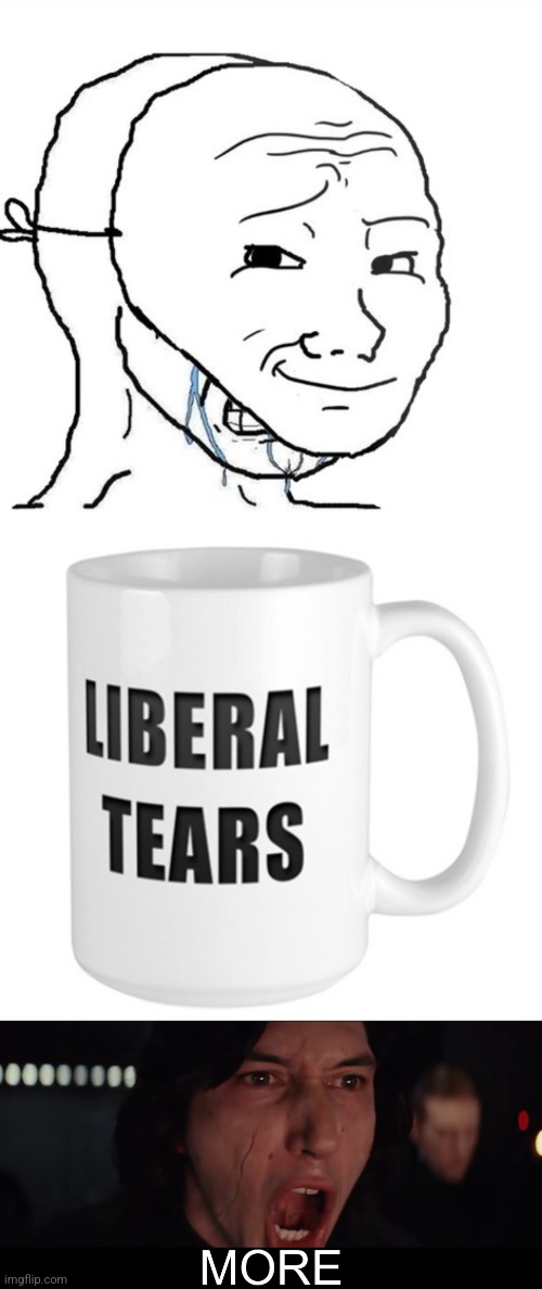 image tagged in crying wojak mask,liberal tears mug,kylo ren more | made w/ Imgflip meme maker