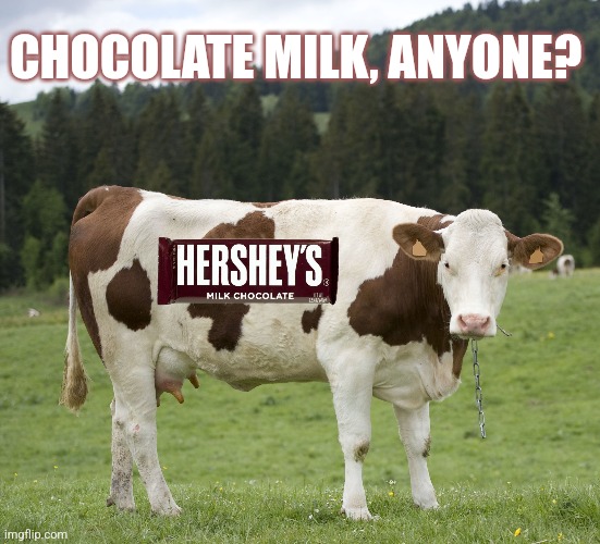 CHOCOLATE MILK, ANYONE? | made w/ Imgflip meme maker