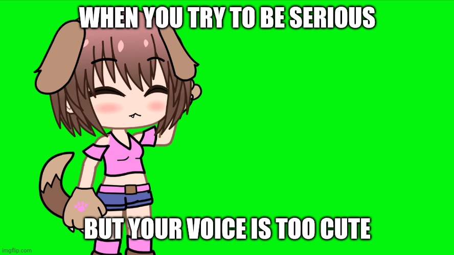 Wan-chan cute voice | WHEN YOU TRY TO BE SERIOUS; BUT YOUR VOICE IS TOO CUTE | image tagged in wan-chan | made w/ Imgflip meme maker