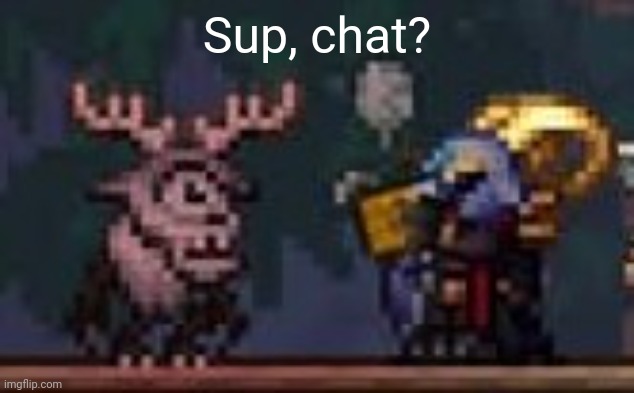 Sup, chat? | made w/ Imgflip meme maker