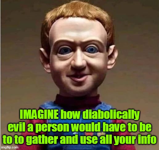 That GD MUSK ! | IMAGINE how diabolically evil a person would have to be to to gather and use all your info | image tagged in zukerberg private info meme | made w/ Imgflip meme maker