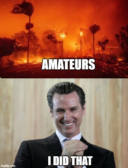 I DID THAT AMATEURS | image tagged in la fires 2025,scheming gavin newsom | made w/ Imgflip meme maker