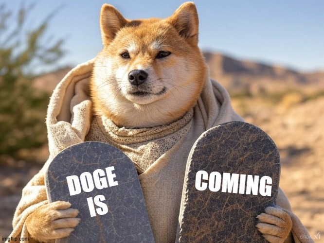 For Government waste fraud and abuse | COMING; DOGE
IS | image tagged in doge,elon musk,fraud,government corruption,trump,america first | made w/ Imgflip meme maker