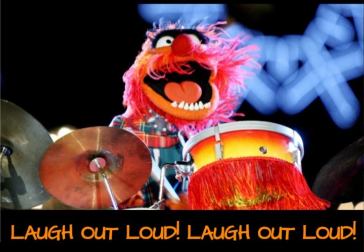 Animal laughing out loud | image tagged in animal laughing out loud | made w/ Imgflip meme maker