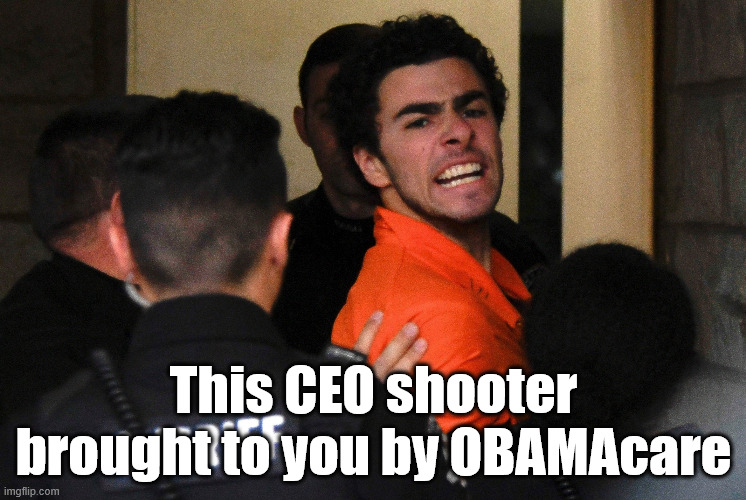 They voted for it to see what's in it.  (Hint: There's nothing in it.) | This CEO shooter brought to you by OBAMAcare | image tagged in luigi mangione | made w/ Imgflip meme maker