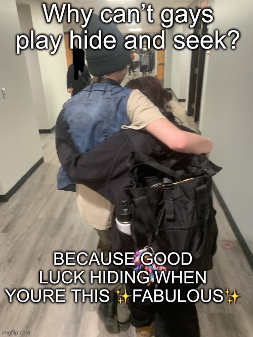 The gays | Why can’t gays play hide and seek? BECAUSE GOOD LUCK HIDING WHEN YOURE THIS ✨FABULOUS✨ | image tagged in the gays | made w/ Imgflip meme maker