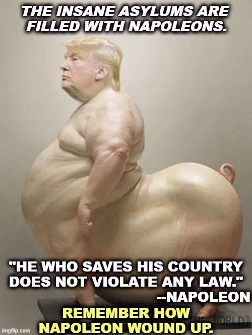 Above the law? Only sometimes. | THE INSANE ASYLUMS ARE 
FILLED WITH NAPOLEONS. "HE WHO SAVES HIS COUNTRY 
DOES NOT VIOLATE ANY LAW."; --NAPOLEON; REMEMBER HOW NAPOLEON WOUND UP. | image tagged in trump pig,scofflaw,trump,napoleon,delusional,malignant narcissism | made w/ Imgflip meme maker