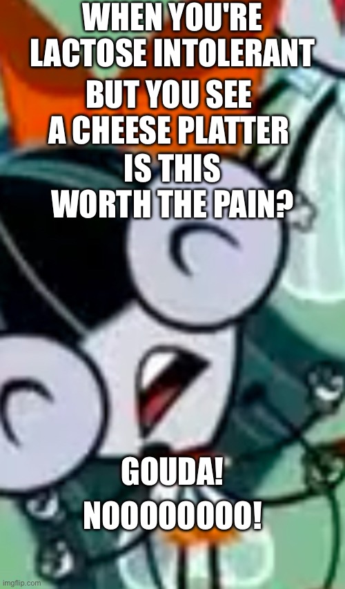 Mucho texto | WHEN YOU'RE LACTOSE INTOLERANT; BUT YOU SEE A CHEESE PLATTER; IS THIS WORTH THE PAIN? GOUDA! NOOOOOOOO! | image tagged in is this bro raging,cheese,cheeseburger,worth it,one fly,the buzz on maggie | made w/ Imgflip meme maker