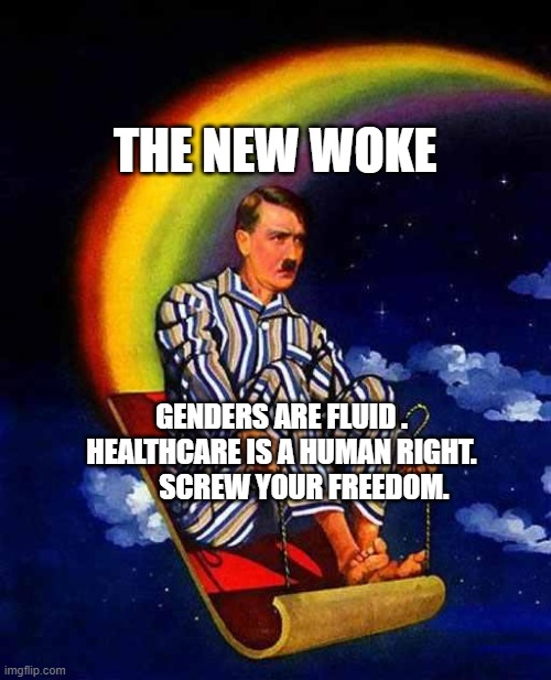 Random Hitler | THE NEW WOKE; GENDERS ARE FLUID . HEALTHCARE IS A HUMAN RIGHT.          SCREW YOUR FREEDOM. | image tagged in random hitler | made w/ Imgflip meme maker