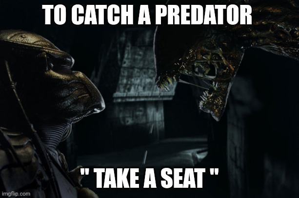 To catch a predator | TO CATCH A PREDATOR | image tagged in predator,chris hanson | made w/ Imgflip meme maker