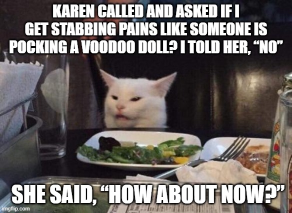 Voodoo | KAREN CALLED AND ASKED IF I GET STABBING PAINS LIKE SOMEONE IS POCKING A VOODOO DOLL? I TOLD HER, “NO”; SHE SAID, “HOW ABOUT NOW?” | image tagged in smudge that darn cat | made w/ Imgflip meme maker