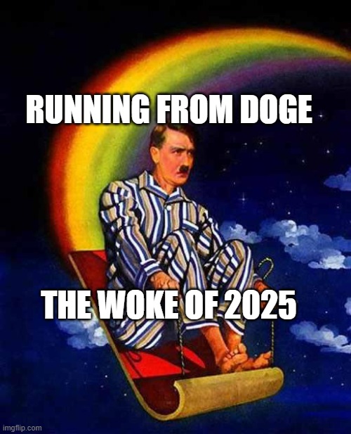 Random Hitler | RUNNING FROM DOGE; THE WOKE OF 2025 | image tagged in random hitler | made w/ Imgflip meme maker