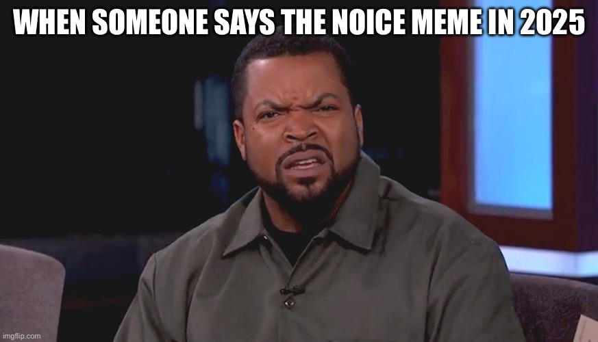 Really? Ice Cube | WHEN SOMEONE SAYS THE NOICE MEME IN 2025 | image tagged in for real,memes,really ice cube | made w/ Imgflip meme maker