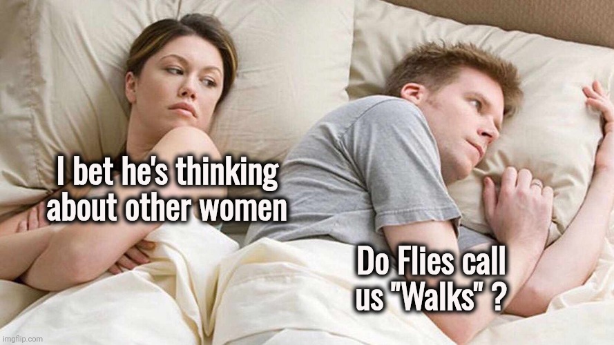 Fish do it in the water | I bet he's thinking about other women; Do Flies call us "Walks" ? | image tagged in memes,i bet he's thinking about other women,lord of the flies,literature,thinking hard,headache | made w/ Imgflip meme maker