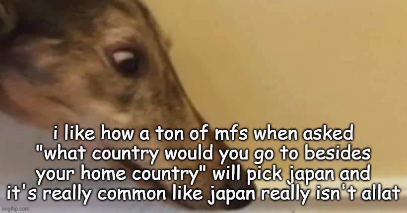 long nose dog | i like how a ton of mfs when asked "what country would you go to besides your home country" will pick japan and it's really common like japan really isn't allat | image tagged in long nose dog | made w/ Imgflip meme maker