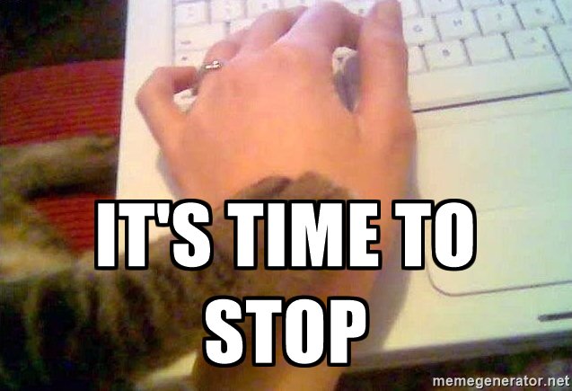it's time to stop cat Blank Meme Template