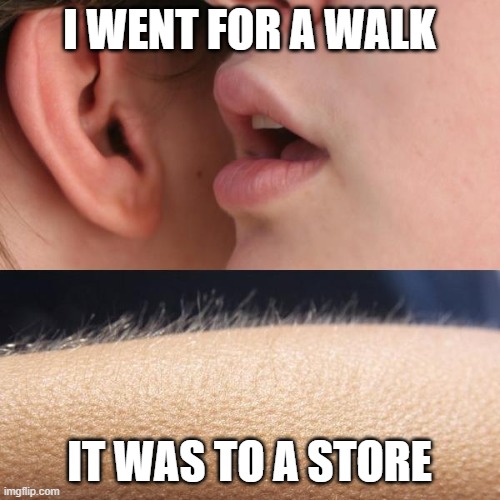 Whisper and Goosebumps | I WENT FOR A WALK IT WAS TO A STORE | image tagged in whisper and goosebumps | made w/ Imgflip meme maker