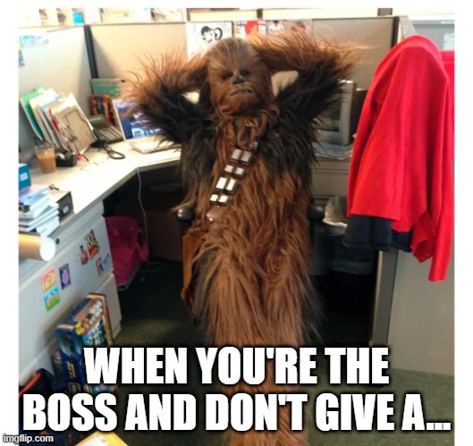 Chewy Boss | WHEN YOU'RE THE BOSS AND DON'T GIVE A... | image tagged in chewbacca | made w/ Imgflip meme maker