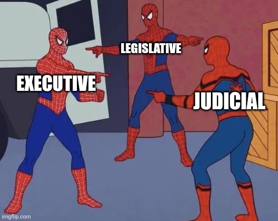 3 Spiderman Pointing | LEGISLATIVE; EXECUTIVE; JUDICIAL | image tagged in 3 spiderman pointing | made w/ Imgflip meme maker