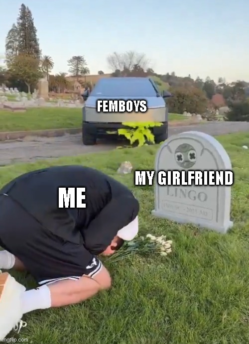 valentines just got a whole lot better | FEMBOYS; MY GIRLFRIEND; ME | image tagged in mrbeast sad | made w/ Imgflip meme maker