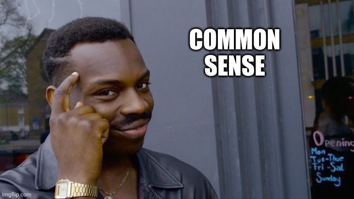 Roll Safe Think About It Meme | COMMON SENSE | image tagged in memes,roll safe think about it | made w/ Imgflip meme maker