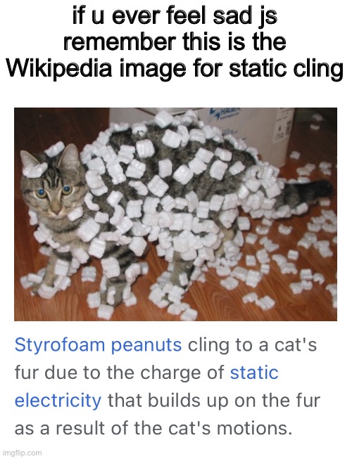 if u ever feel sad js remember this is the Wikipedia image for static cling | made w/ Imgflip meme maker