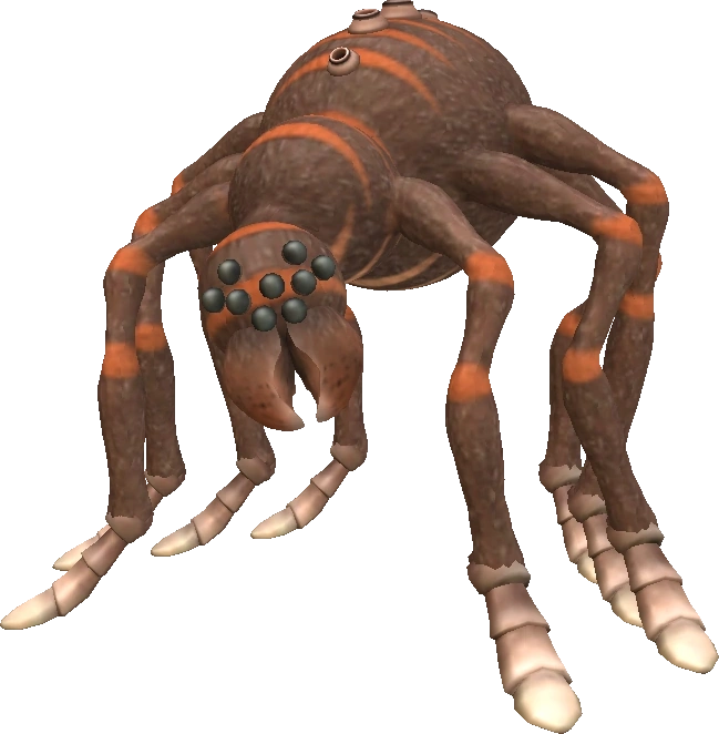 baboonspider Blank Meme Template